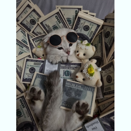   .   