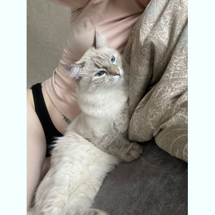 �o�o�� � ����o�� o��e��� � ������a� 